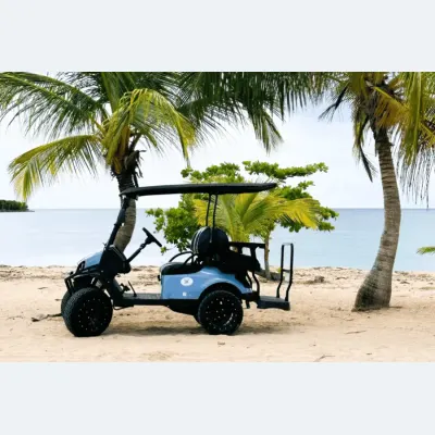 Carrito de gulf