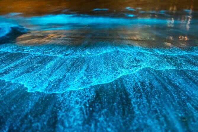 Puerto Mosquito (Bahía Bioluminiscente)